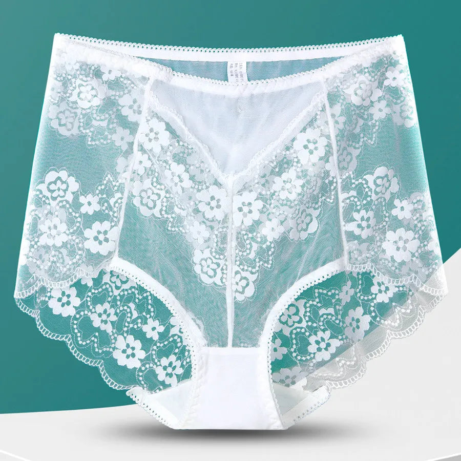 Plus Size Mesh Lace Panties