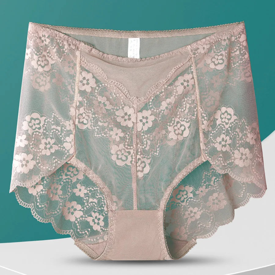 Plus Size Mesh Lace Panties